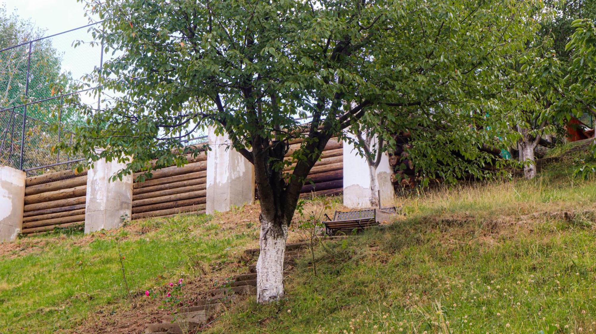 Marginimea Sibiului - Pensiunea Darian & David Orlat Exterior photo