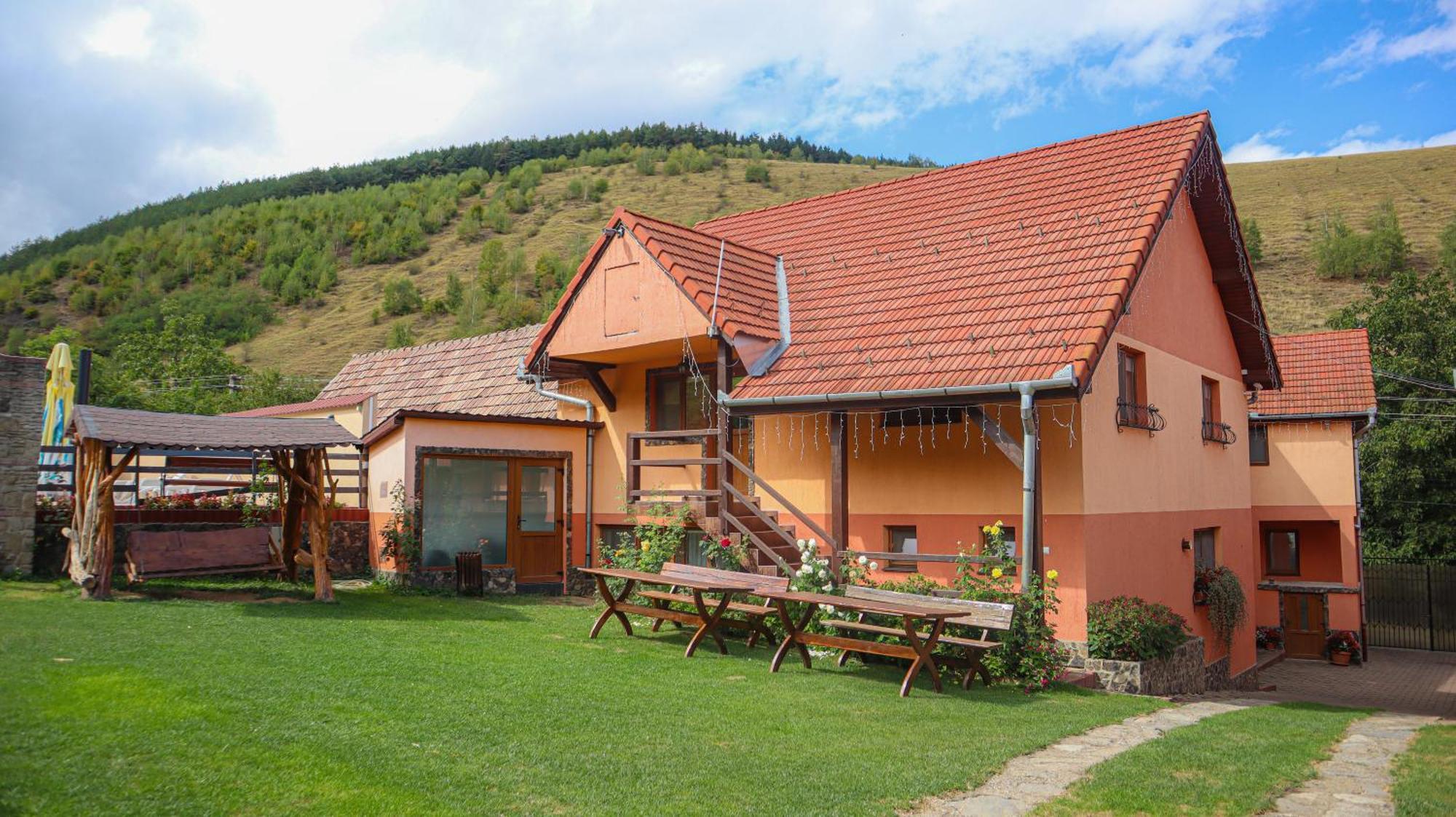 Marginimea Sibiului - Pensiunea Darian & David Orlat Exterior photo